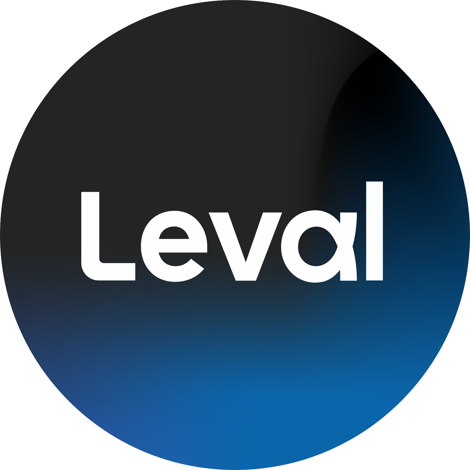 Leval Marketing Studio - Agencia de Marketing Digital en Mexicali